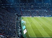  bestwishes是不是表白 