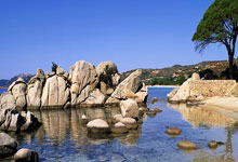 里昂羸弱表现，法甲霸主地位动摇的简单介绍